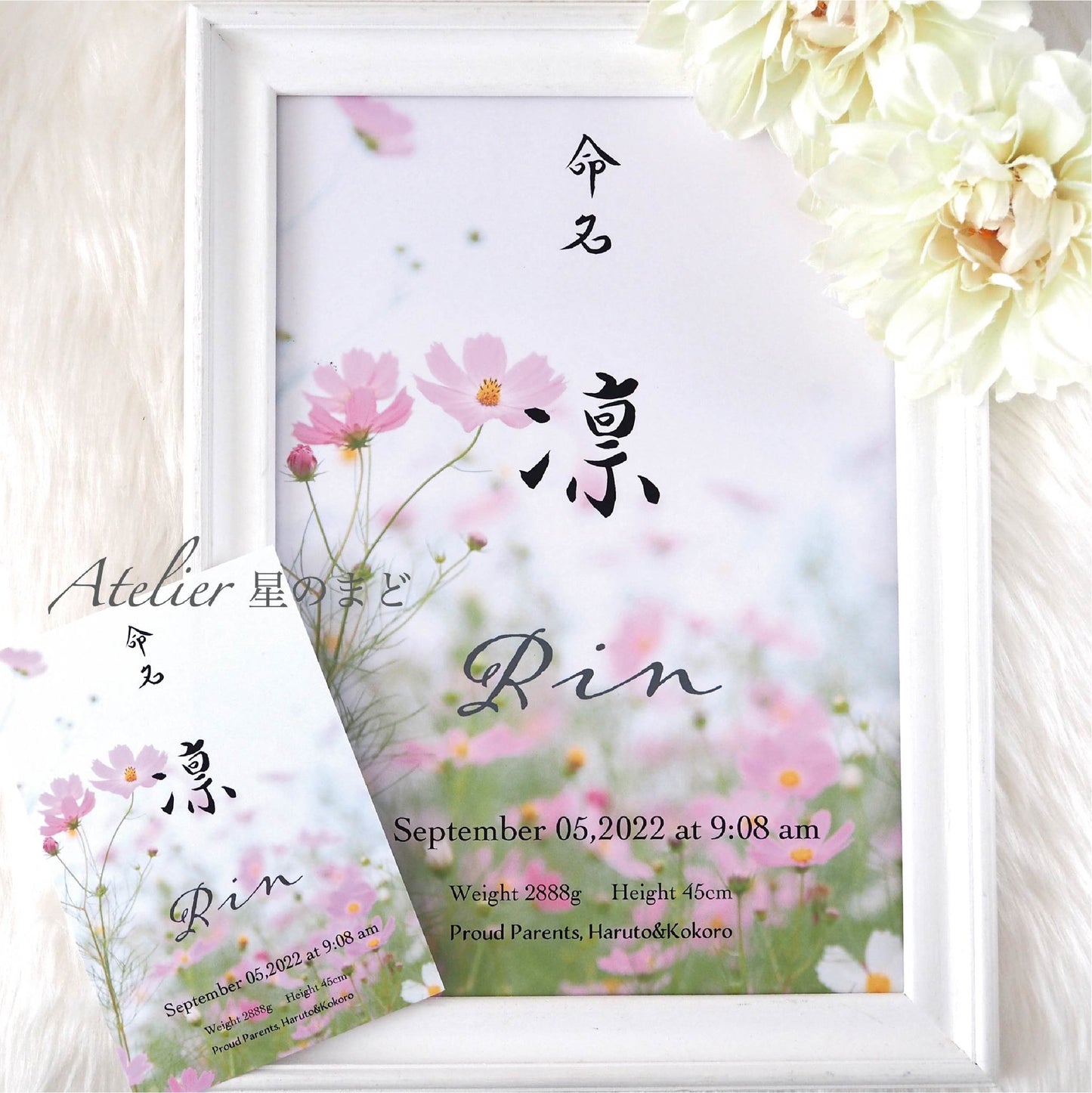 「秋桜」命名書☆オーダー☆おしゃれな誕生月・季節花の命名書☆ A4サイズ&葉書サイズのお得なセット♪