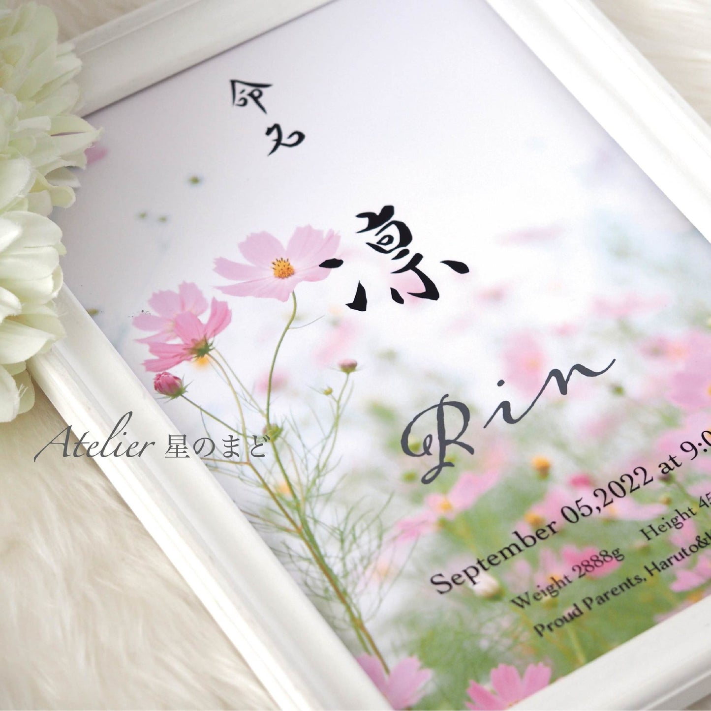 「秋桜」命名書☆オーダー☆おしゃれな誕生月・季節花の命名書☆ A4サイズ&葉書サイズのお得なセット♪