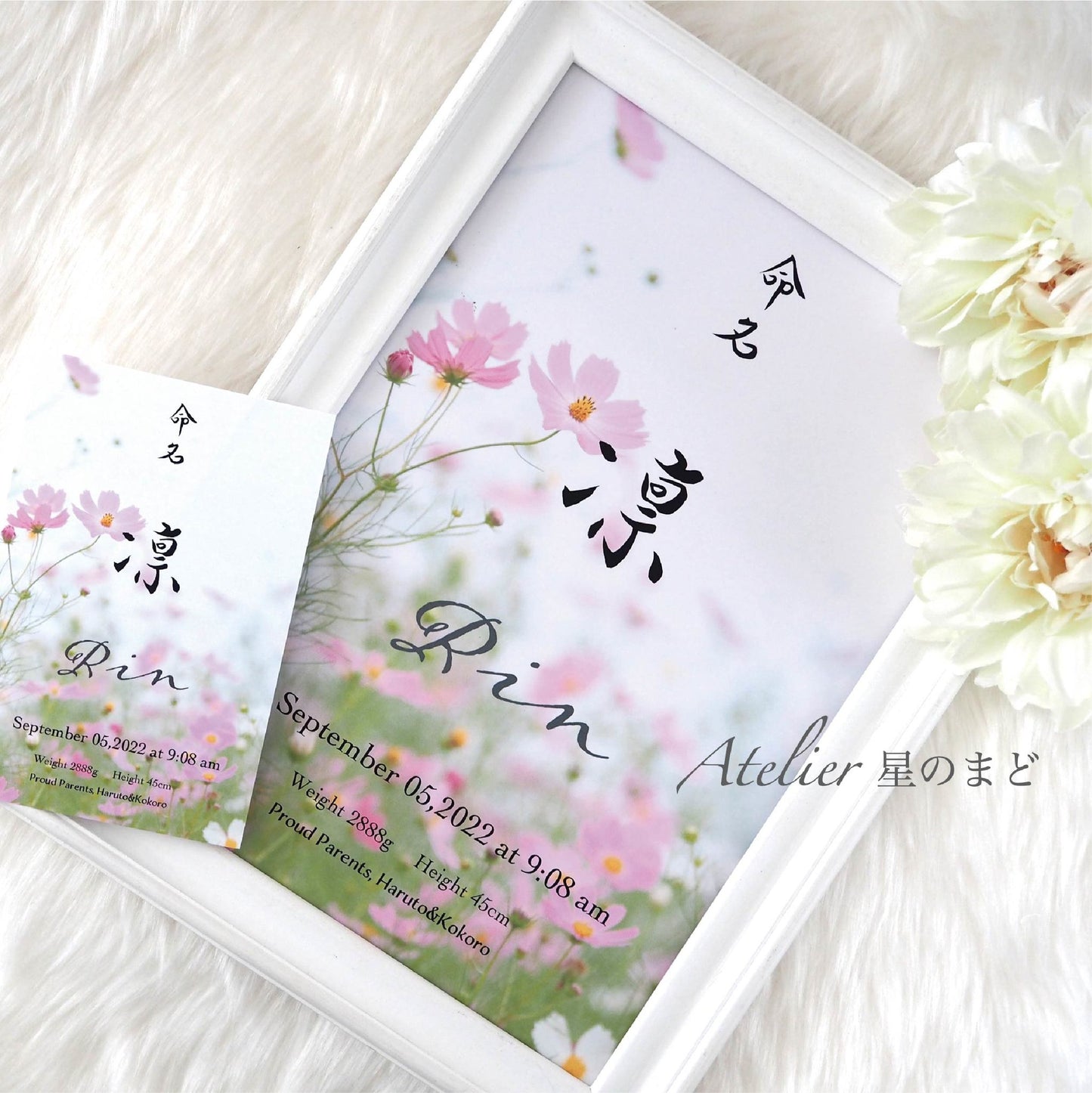 「秋桜」命名書☆オーダー☆おしゃれな誕生月・季節花の命名書☆ A4サイズ&葉書サイズのお得なセット♪