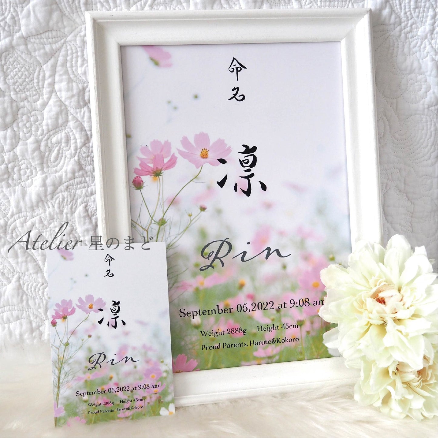 「秋桜」命名書☆オーダー☆おしゃれな誕生月・季節花の命名書☆ A4サイズ＆葉書サイズのお得なセット♪
