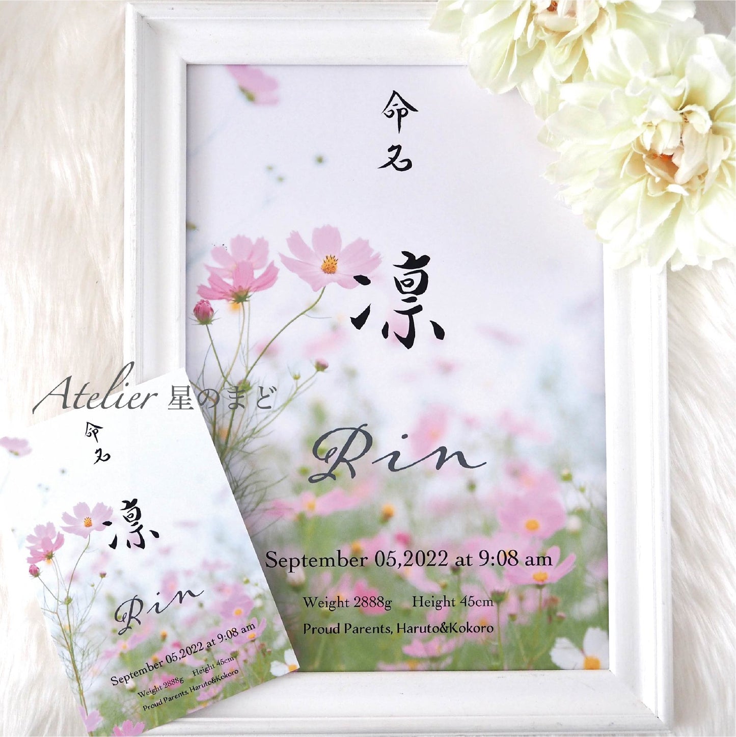 「秋桜」命名書☆オーダー☆おしゃれな誕生月・季節花の命名書☆ A4サイズ＆葉書サイズのお得なセット♪